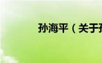 孙海平（关于孙海平的介绍）