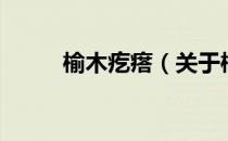 榆木疙瘩（关于榆木疙瘩的介绍）