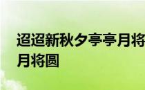 迢迢新秋夕亭亭月将圆全文 迢迢新秋夕亭亭月将圆