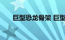 巨型恐龙骨架 巨型恐龙骨头有什么用