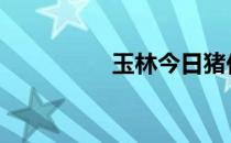 玉林今日猪价 玉房秘诀