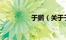 于鹏（关于于鹏的介绍）