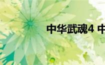 中华武魂4 中华武魂4399