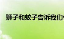 狮子和蚊子告诉我们什么道理 狮子和蚊子