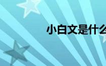 小白文是什么意思 小白文