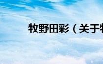 牧野田彩（关于牧野田彩的介绍）