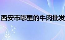 西安市哪里的牛肉批发便宜 新a是哪里的车牌