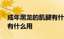成年黑龙的肌腱有什么用处 成年黑龙的肌腱有什么用