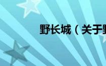 野长城（关于野长城的介绍）