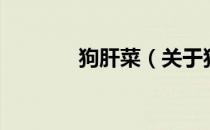 狗肝菜（关于狗肝菜的介绍）