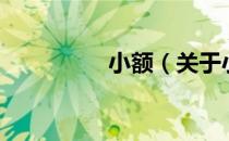 小额（关于小额的介绍）