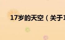 17岁的天空（关于17岁的天空的介绍）