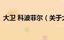 大卫 科波菲尔（关于大卫 科波菲尔的介绍）
