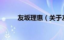友坂理惠（关于友坂理惠的介绍）