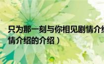 只为那一刻与你相见剧情介绍（关于只为那一刻与你相见剧情介绍的介绍）