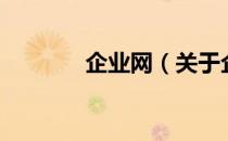 企业网（关于企业网的介绍）