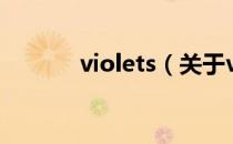violets（关于violets的介绍）