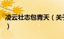 凌云壮志包青天（关于凌云壮志包青天的介绍）