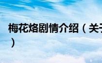 梅花烙剧情介绍（关于梅花烙剧情介绍的介绍）