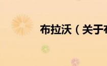 布拉沃（关于布拉沃的介绍）
