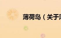 薄荷岛（关于薄荷岛的介绍）