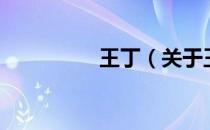王丁（关于王丁的介绍）