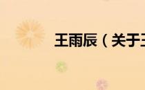 王雨辰（关于王雨辰的介绍）