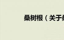 桑树根（关于桑树根的介绍）