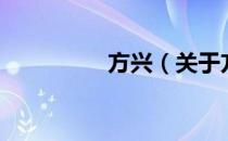 方兴（关于方兴的介绍）