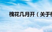 槐花几月开（关于槐花几月开的介绍）