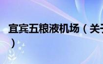 宜宾五粮液机场（关于宜宾五粮液机场的介绍）