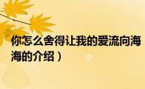 你怎么舍得让我的爱流向海（关于你怎么舍得让我的爱流向海的介绍）