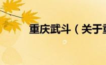 重庆武斗（关于重庆武斗的介绍）