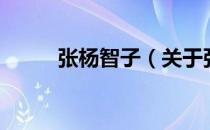 张杨智子（关于张杨智子的介绍）