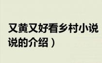 又黄又好看乡村小说（关于又黄又好看乡村小说的介绍）