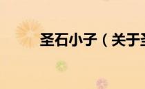 圣石小子（关于圣石小子的介绍）