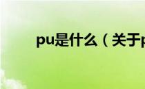 pu是什么（关于pu是什么的介绍）