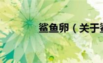 鲨鱼卵（关于鲨鱼卵的介绍）