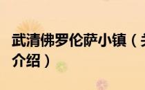 武清佛罗伦萨小镇（关于武清佛罗伦萨小镇的介绍）