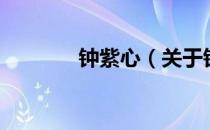 钟紫心（关于钟紫心的介绍）