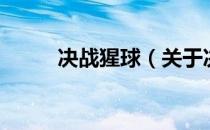 决战猩球（关于决战猩球的介绍）