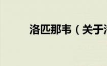 洛匹那韦（关于洛匹那韦的介绍）