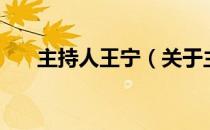 主持人王宁（关于主持人王宁的介绍）