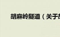 胡麻岭隧道（关于胡麻岭隧道的介绍）
