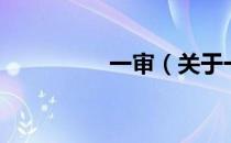 一审（关于一审的介绍）