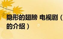 隐形的翅膀 电视剧（关于隐形的翅膀 电视剧的介绍）