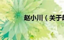 赵小川（关于赵小川的介绍）