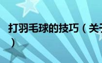 打羽毛球的技巧（关于打羽毛球的技巧的介绍）