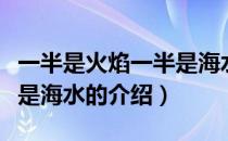 一半是火焰一半是海水（关于一半是火焰一半是海水的介绍）