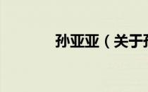 孙亚亚（关于孙亚亚的介绍）